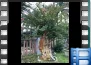 九游APP